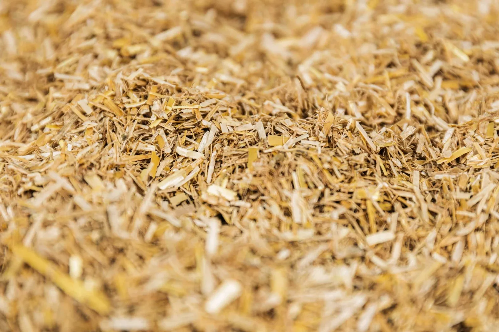 Stro als biobased isolatiemateriaal, uit het verhaal over Takkenkamp en Wonion